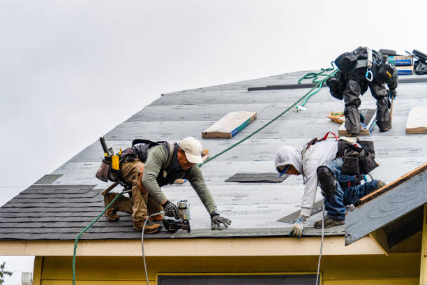 Professional Emergency Roof Repair technician working in Walcott, IA